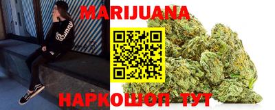 сатива Аргун