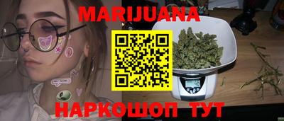 сатива Аргун
